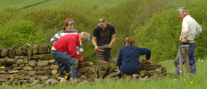 Drystone walling course