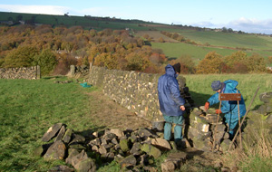 Drystone walling course